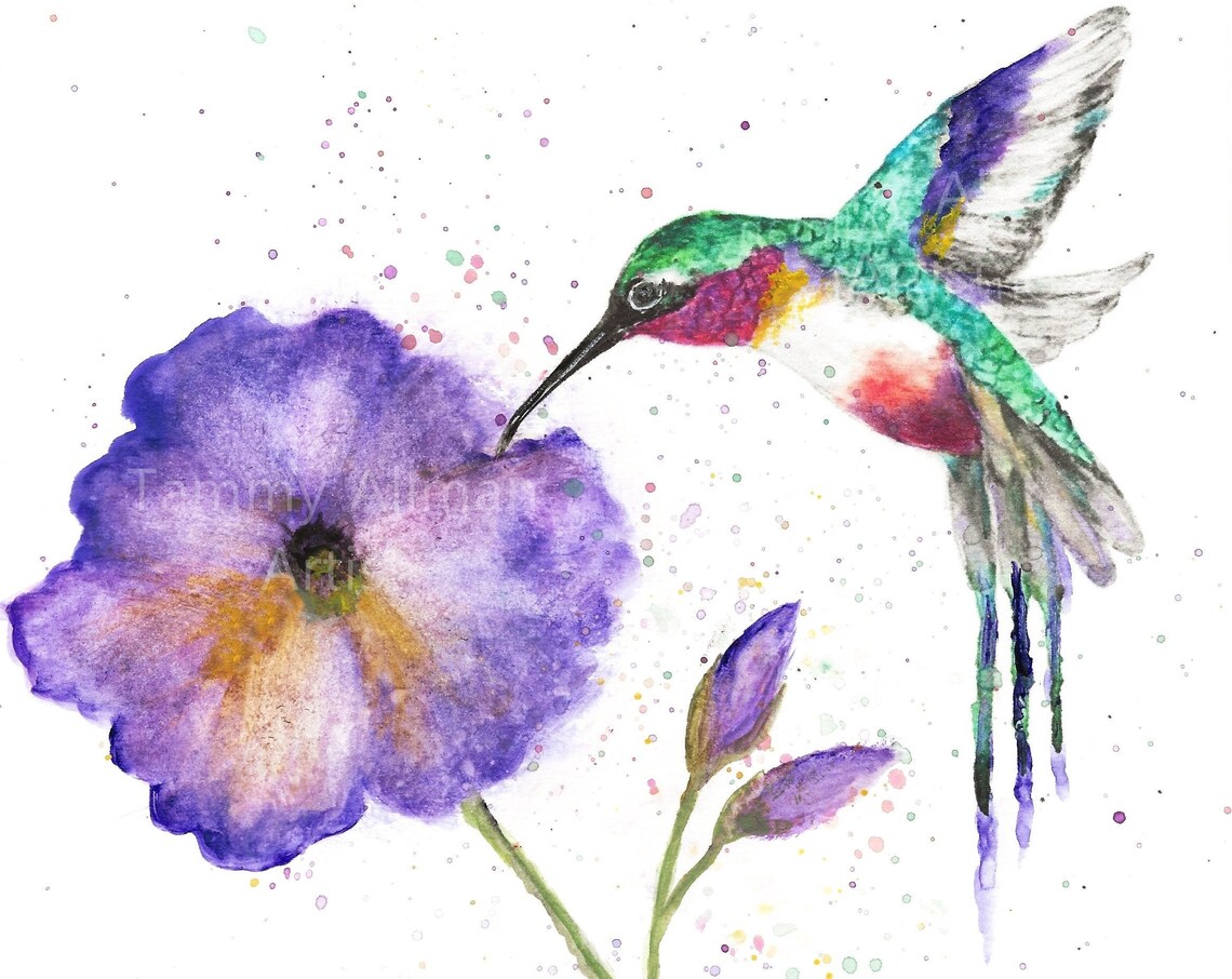 Hummingbird Sipping Purple Poppy Flower Watercolor Bird Art Poster - Image 4