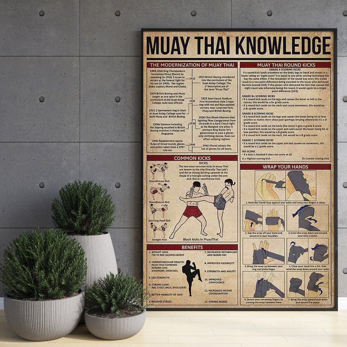 Muay Thai Knowledge Round Kicks Techniques History Chart Poster - Image 3