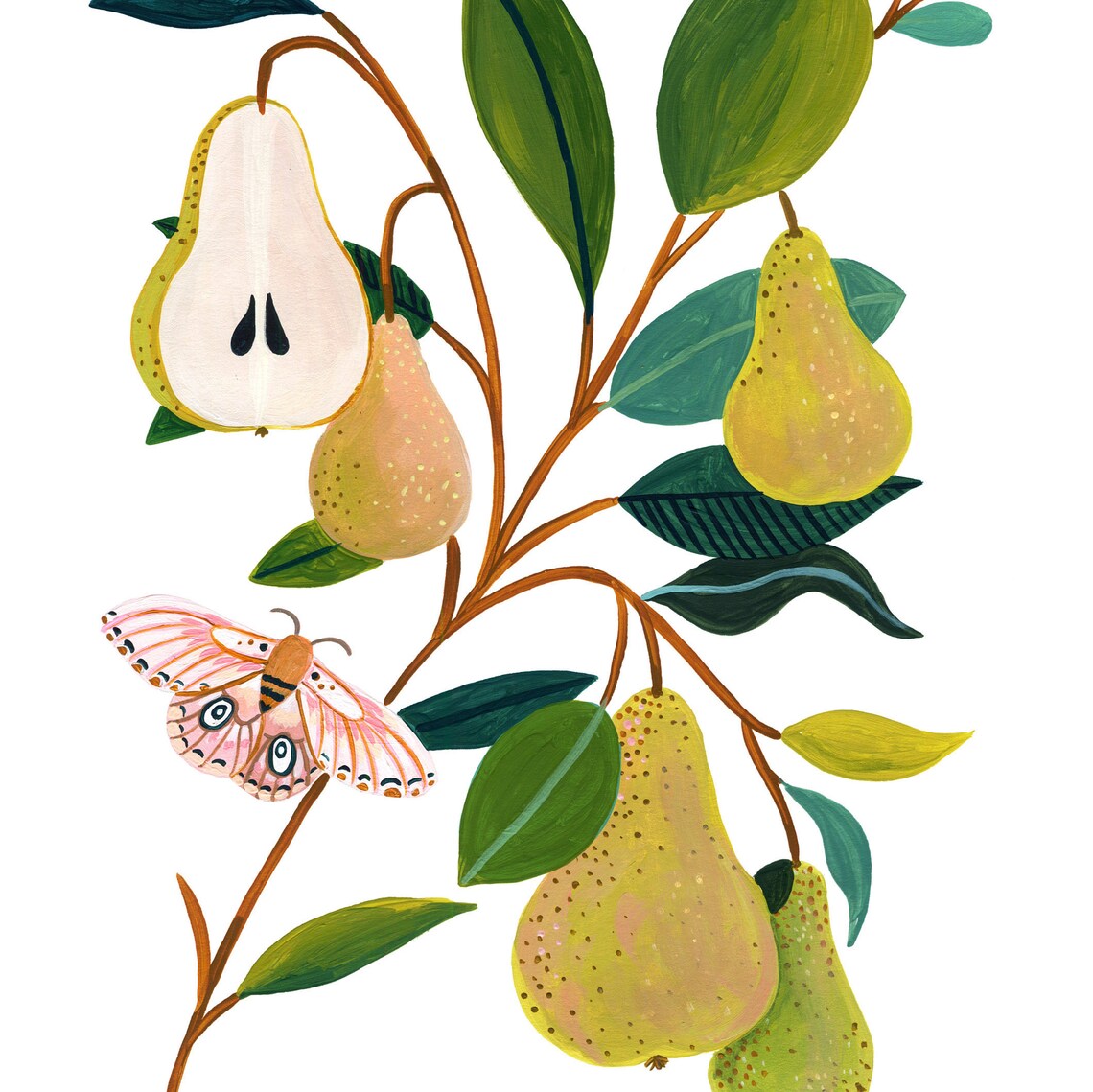 Pear Print Kitchen Decor, Botanical Fruit Illustration - Image 2