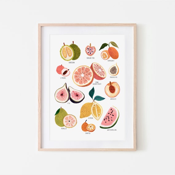 Fruit Collection Print, Kitchen Botanical Art