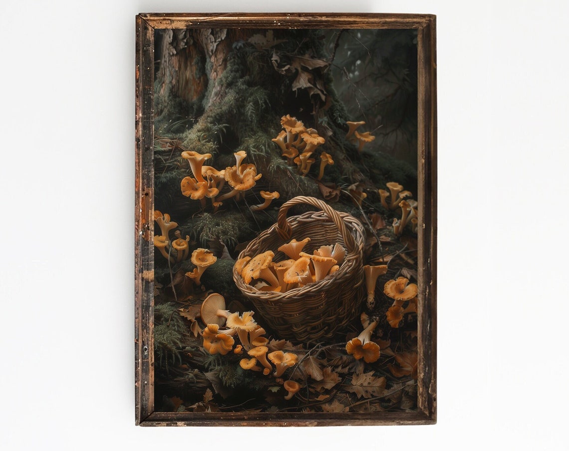 Chanterelle Mushrooms In a Basket On a Dark Forest Floor Poster