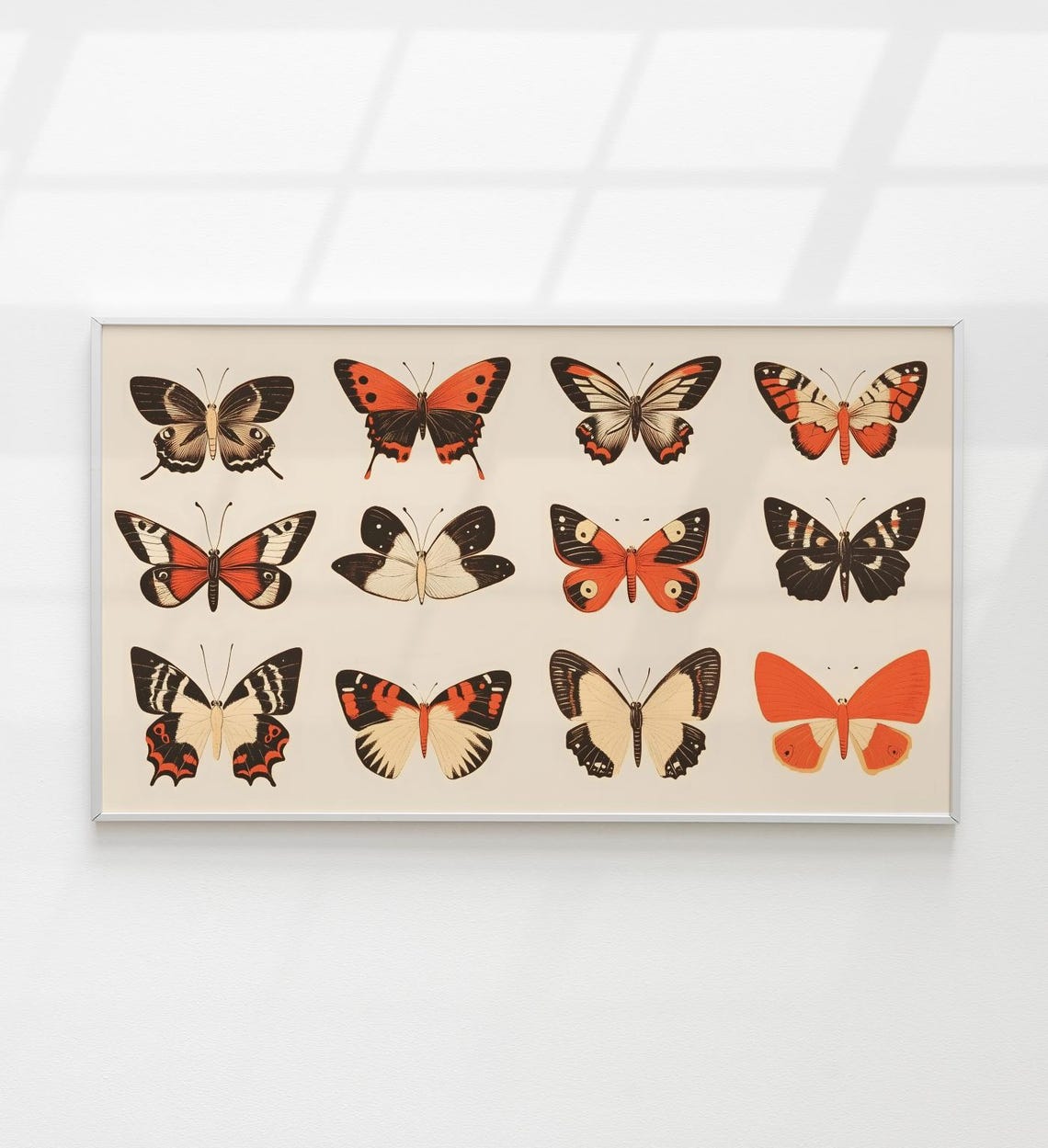 Vintage Butterfly Specimen Chart Orange Black Entomology Wall Art