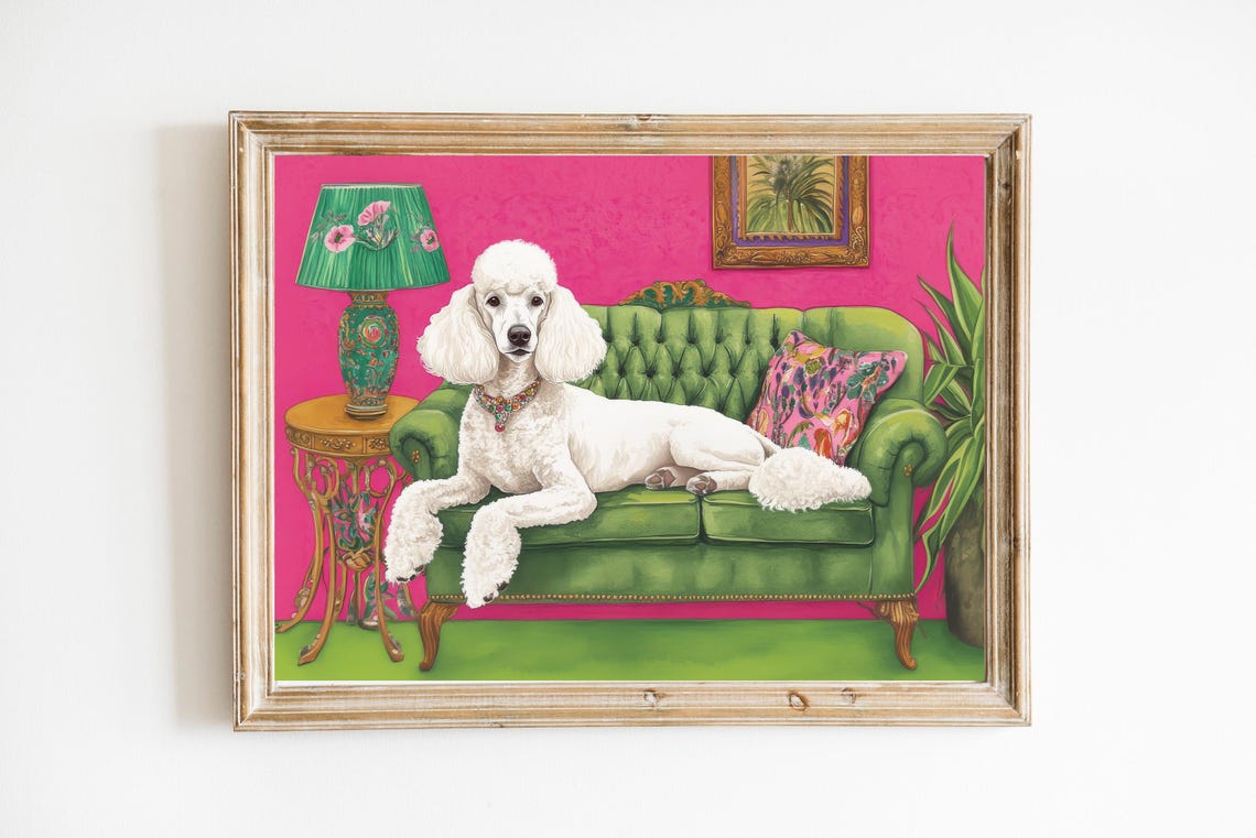 White Poodle on Green Velvet Sofa in Pink Room Illustration Poster