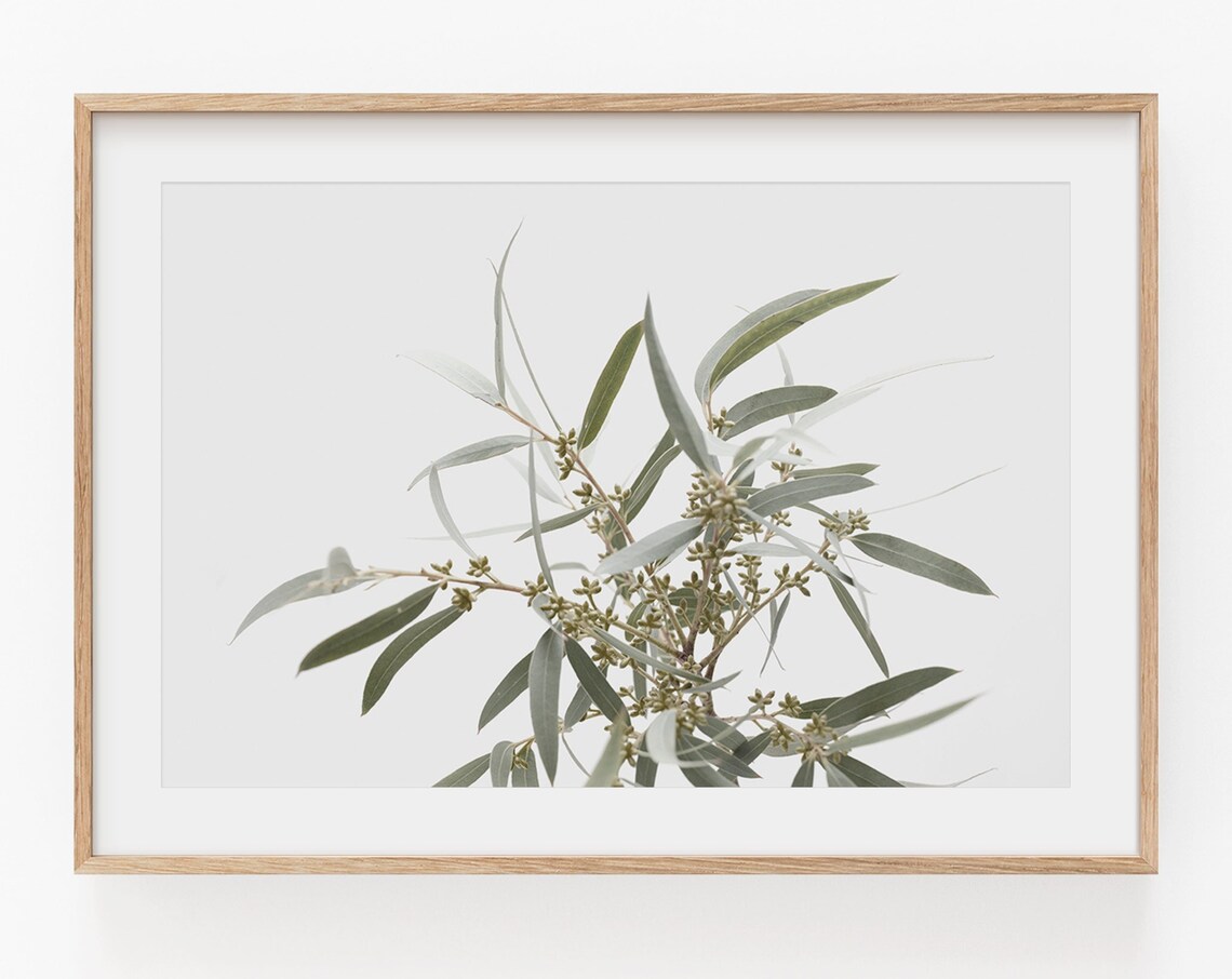 Eucalyptus Botanical Farmhouse Wall Art Print - Image 3