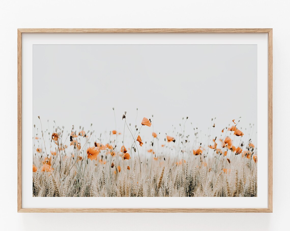 Poppy Print, Modern Minimalist Floral Poster
