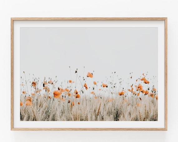 Poppy Print, Modern Minimalist Floral Poster