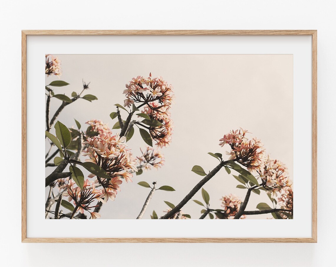 Flowers Botanical Art Print, Horizontal Floral - Image 3