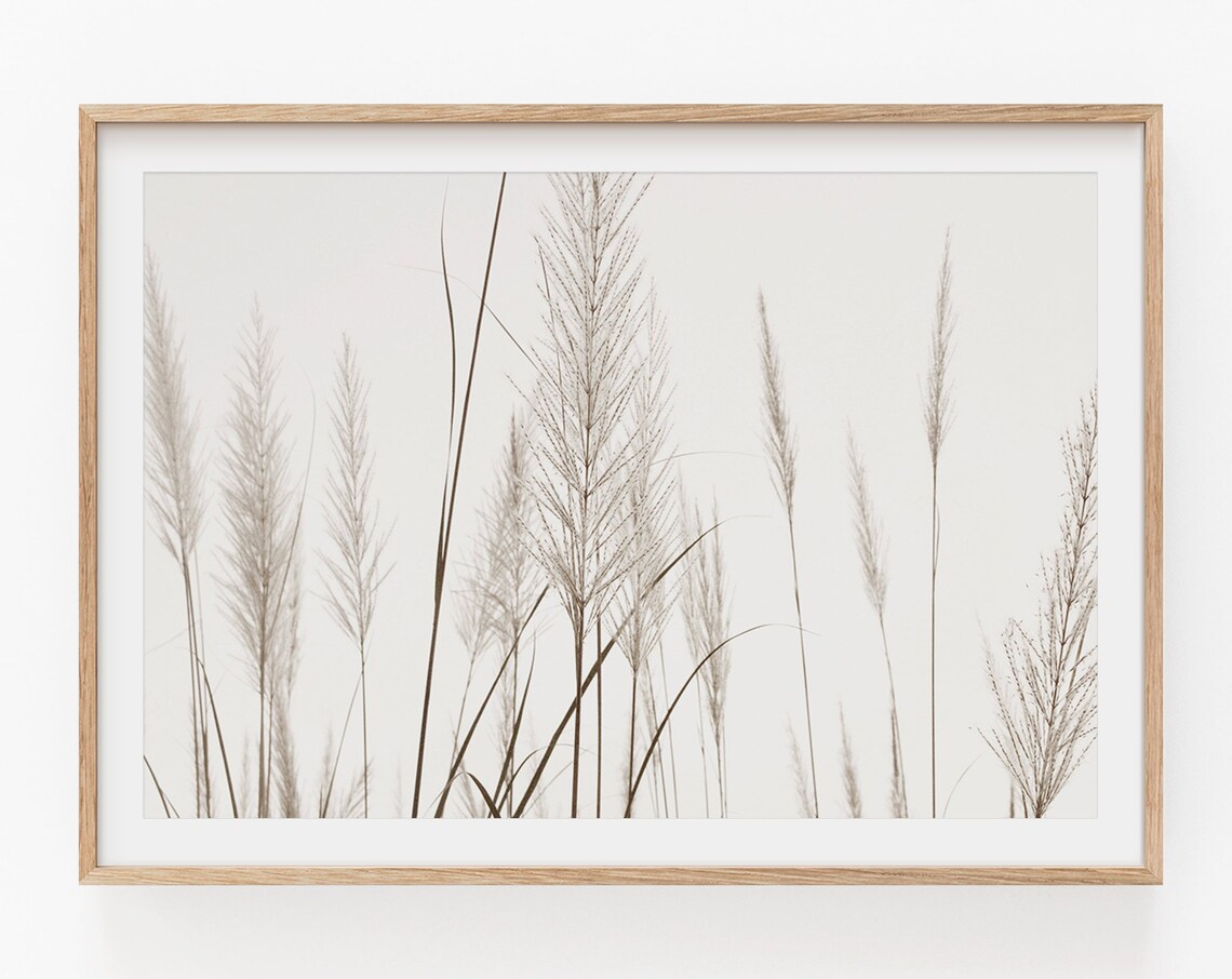 Pampas Grass Botanical Art Print, Modern Minimalist Poster - Image 2