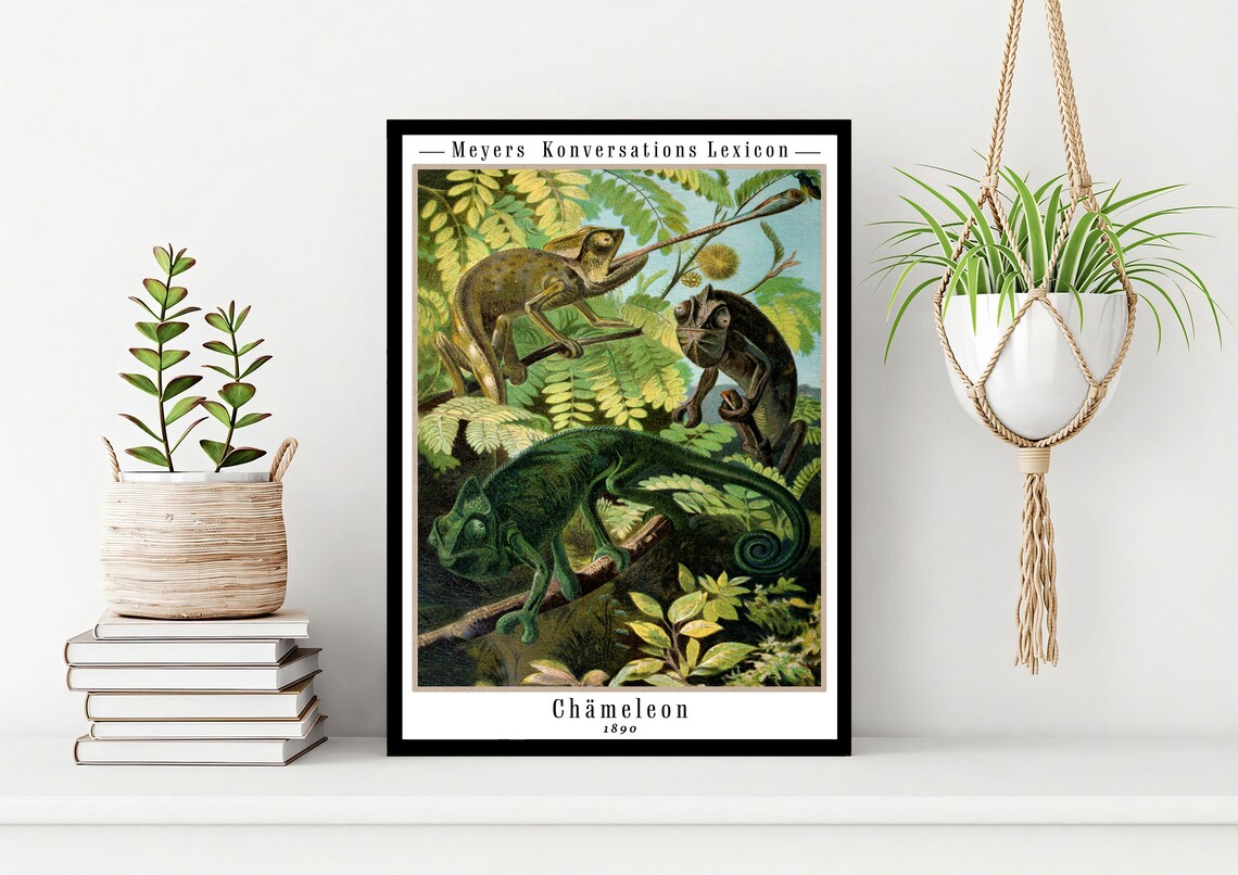 Vintage Chameleon Animal Art Print, Reptile Poster