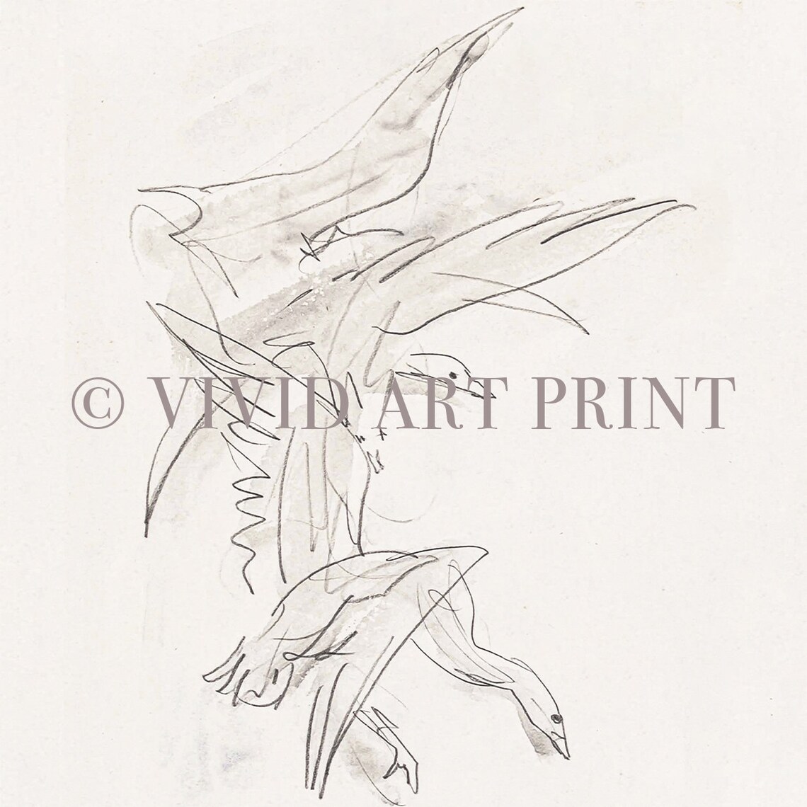 Antique Minimalist Bird Sketch, Birds Home Decor - Image 4
