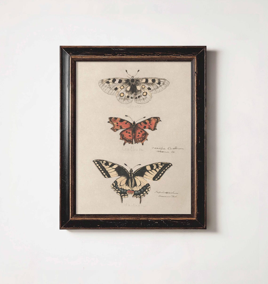 Retro Butterfly Illustration, Vintage Art Print - Image 2