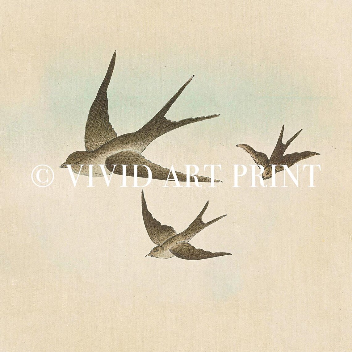 Vintage Nursery Bird Painting, Three Swallows - Image 4