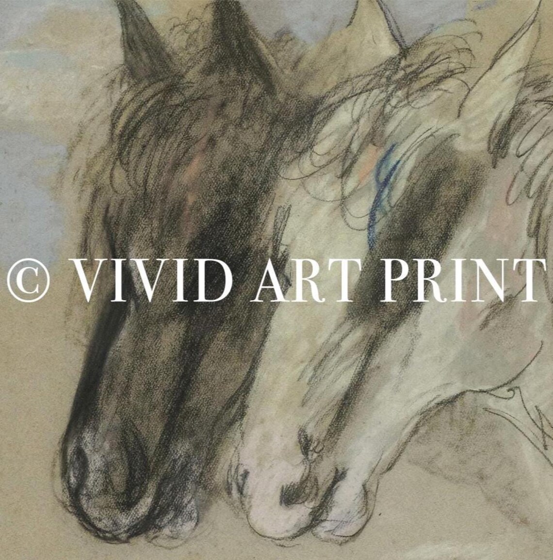 Vintage Equestrian Cottage Core Sketch Art Print - Image 4
