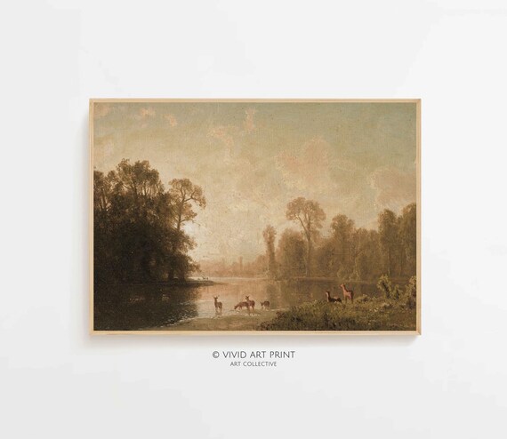 Deer in Tranquil Forest Clearing Antique Wildlife Nature Art Poster