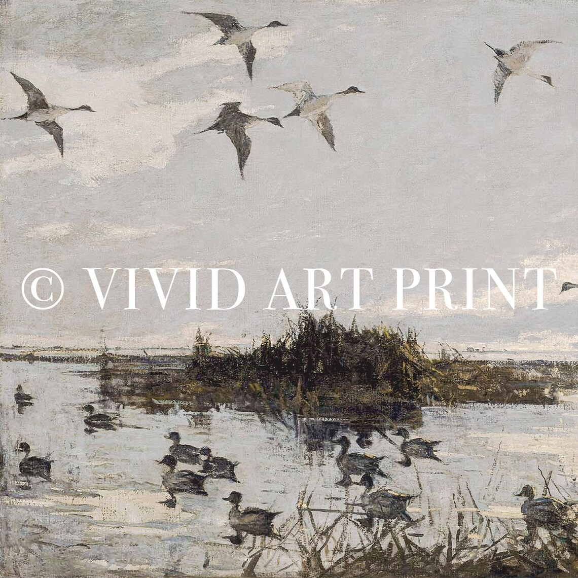 Vintage Marsh Birds, Classic Nature Art Print - Image 4