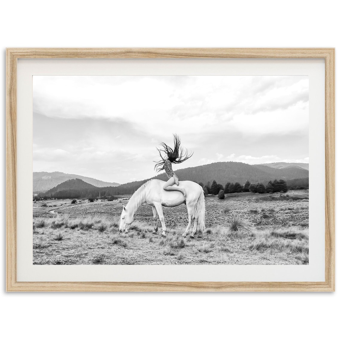 Horse Black and White Photography Art Print