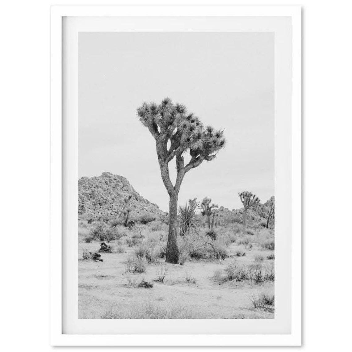 Tall Joshua Tree Desert Portrait Black and White Photography Print