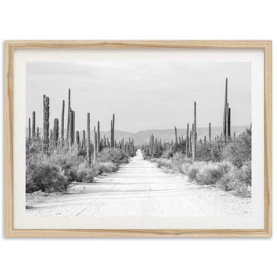 Baja Desert Black And White Cactus Road Art Print