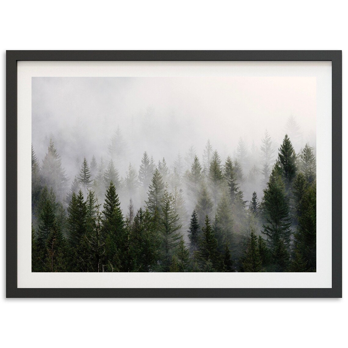Misty Forest Mountain Art Print, Moody Pine Trees