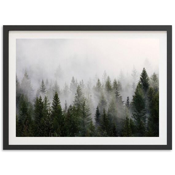 Misty Forest Mountain Art Print, Moody Pine Trees