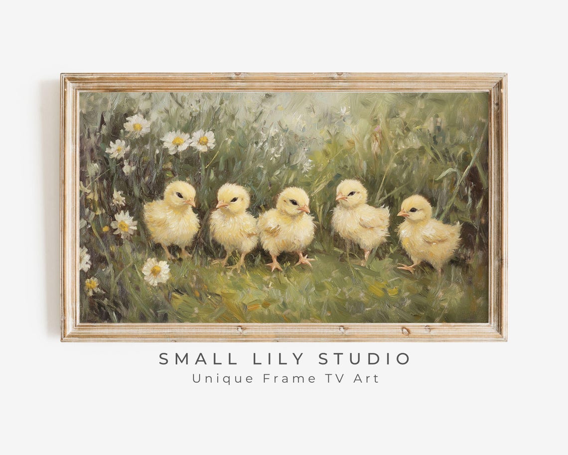 Five Yellow Baby Chicks In Daisy Field Easter Farmhouse Poster