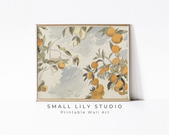 Vintage Orange Tree Print Rustic Farmhouse Kitchen Wall Art Citrus Fruit Watercolor Sketch P032