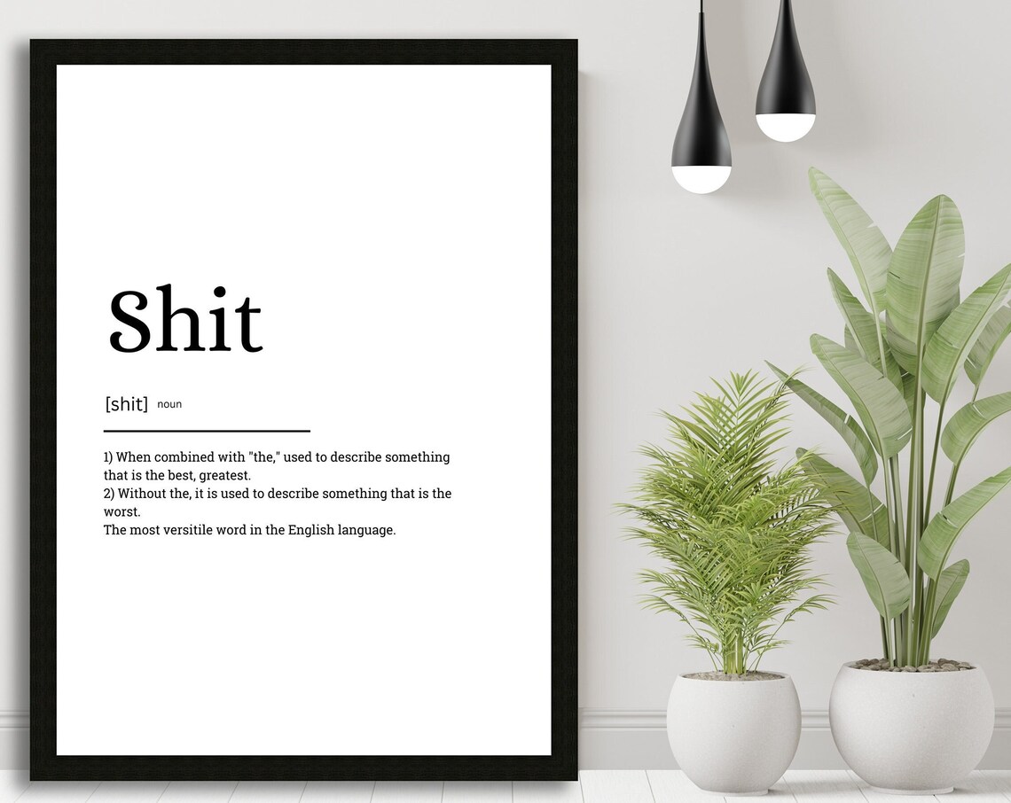 Funny Swear Word Dictionary Definition Quote Minimalist Poster