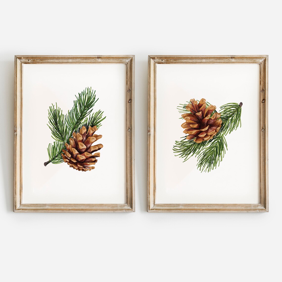 Botanical Winter Pinecone and Pine Tree Art Print - Image 3