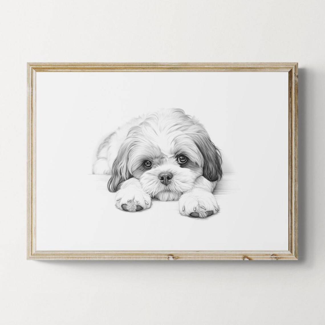 Shih Tzu Puppy Chrysanthemum Lapdog Pup Pencil Sketch Portrait Print