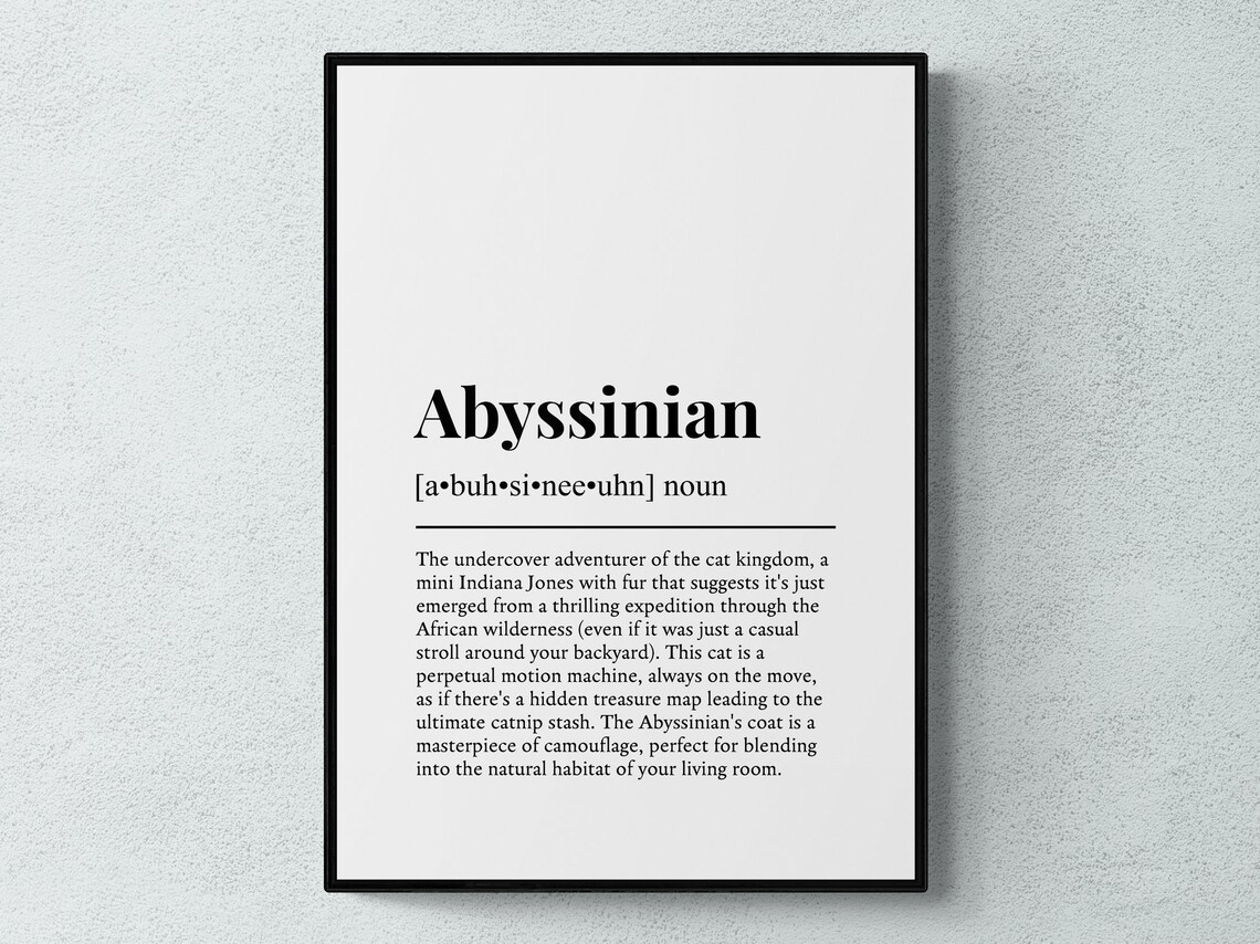 Abyssinian Cat Funny Definition Breed Print Feline Lover Gift Wall Art Poster