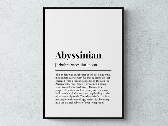 Abyssinian Cat Funny Definition Breed Print Feline Lover Gift Wall Art Poster