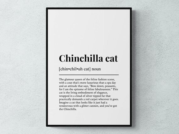 Chinchilla Cat Funny Definition Minimalist Dictionary Word Art Poster