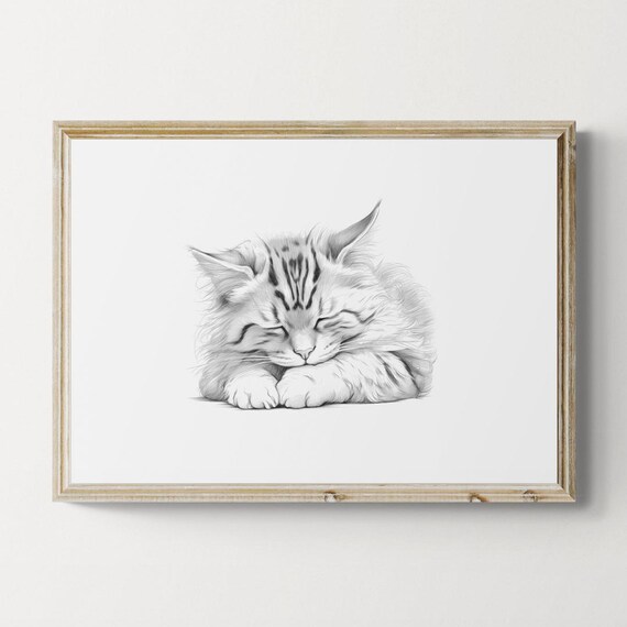 Sleeping Siberian Cat Sketch Black White Fluffy Kitten Art Print