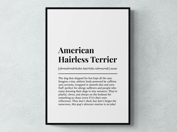 Hairless Terrier Funny Definition Dog Wall Art Print