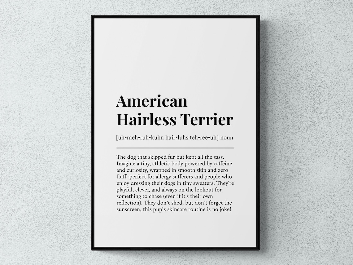 American Hairless Terrier Funny Dictionary Definition Print for Fans