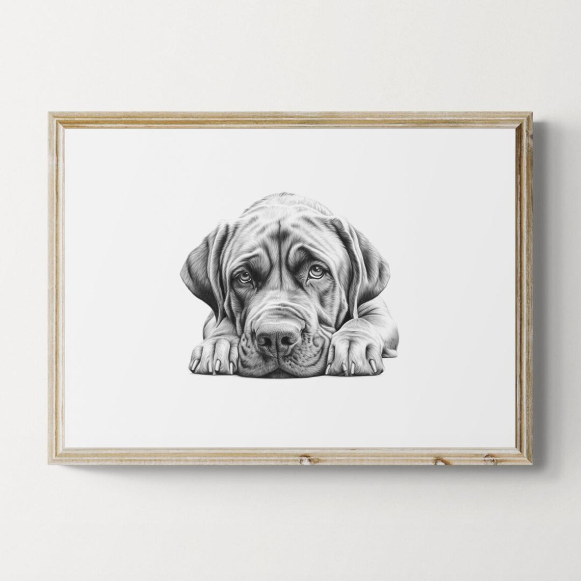 Mastiff Wrinkled Face Sketch Lying Down Vintage Farmhouse Dog Poster