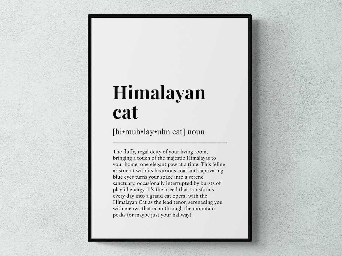 Himalayan Cat Funny Definition Breed Print Feline Lover Gift Wall Art Poster