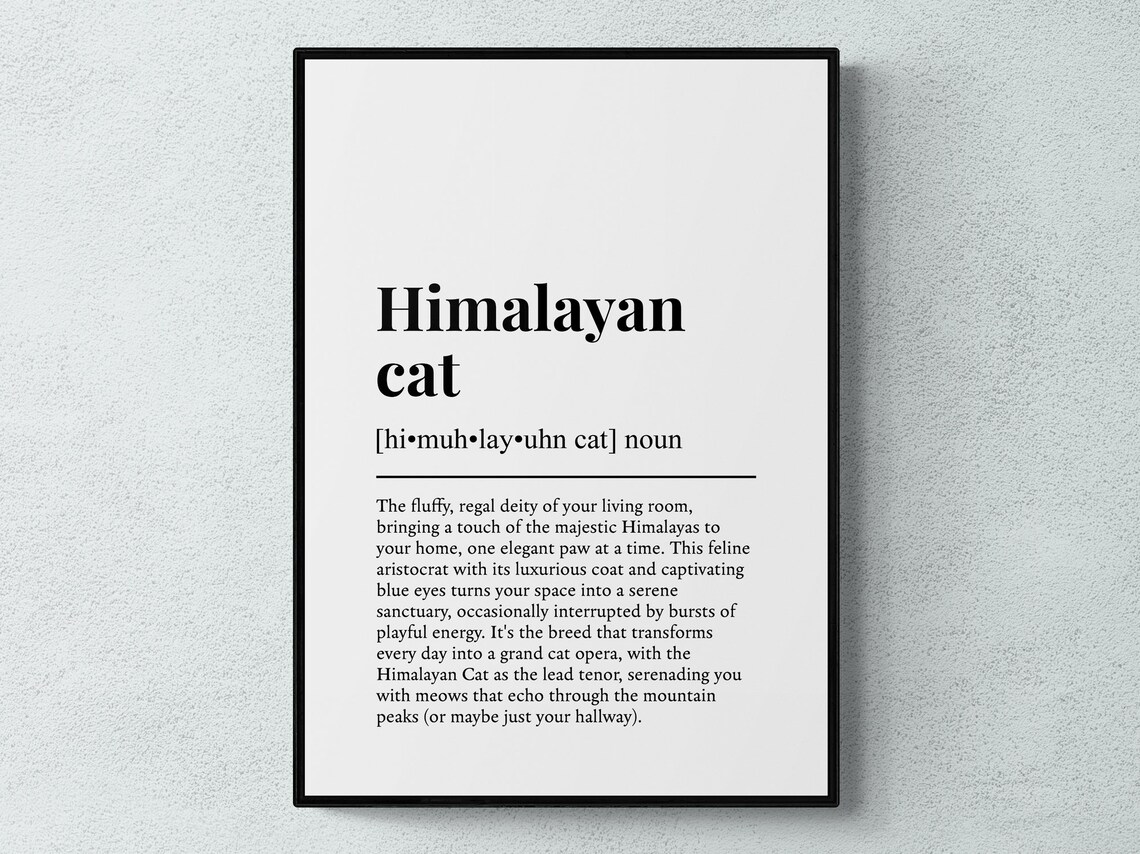Himalayan Cat Funny Definition Dictionary Style Minimalist Wall Art Poster