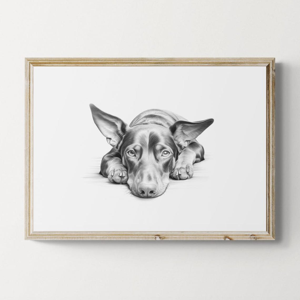 Dobermann Lying Down Pencil Sketch Black White Minimalist Dog Poster