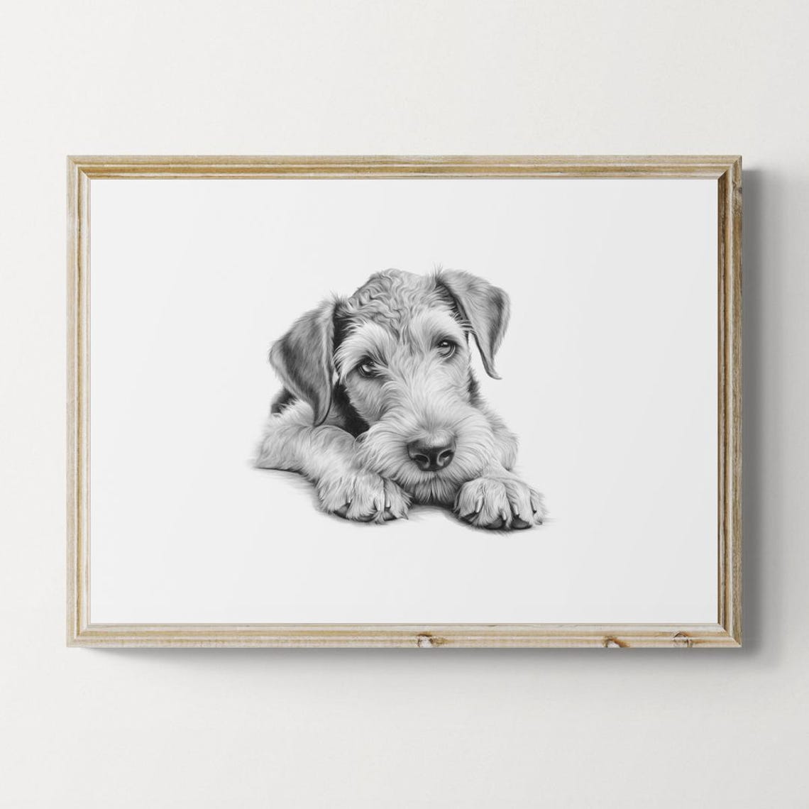 Airedale Terrier Puppy Wiry Coat Terrier Pencil Sketch Portrait Print