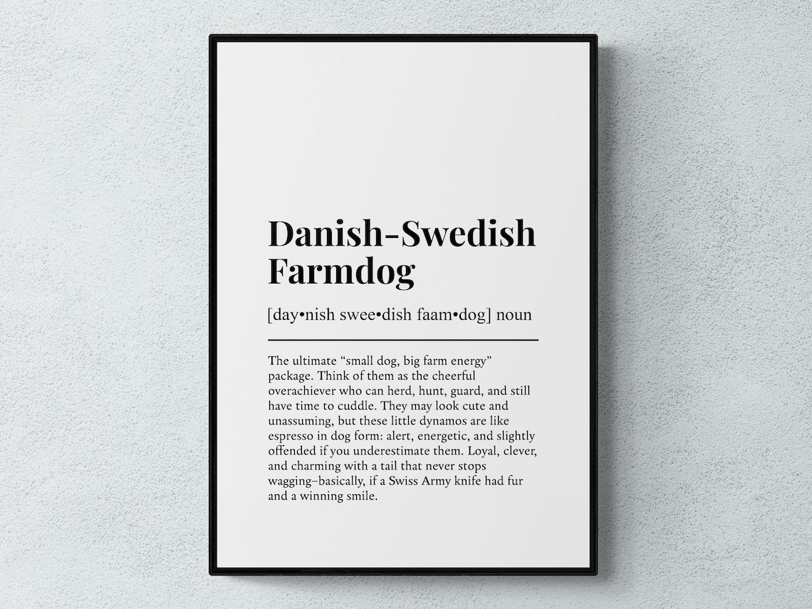Danish Swedish Farmdog Small Dog Big Farm Energy Dictionary Poster