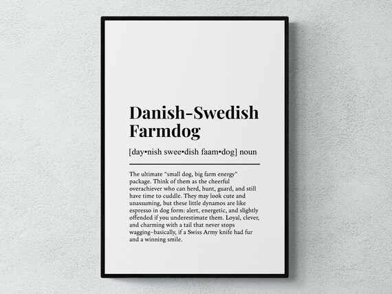 Danishswedish Farmdog Funny Definition Dog Wall Art Print