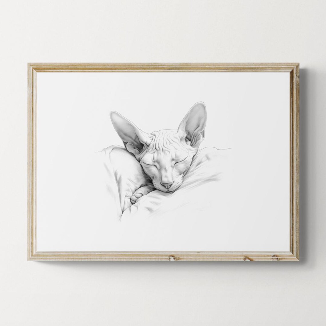 Sleeping Sphynx Cat Vintage Sketch Art Print