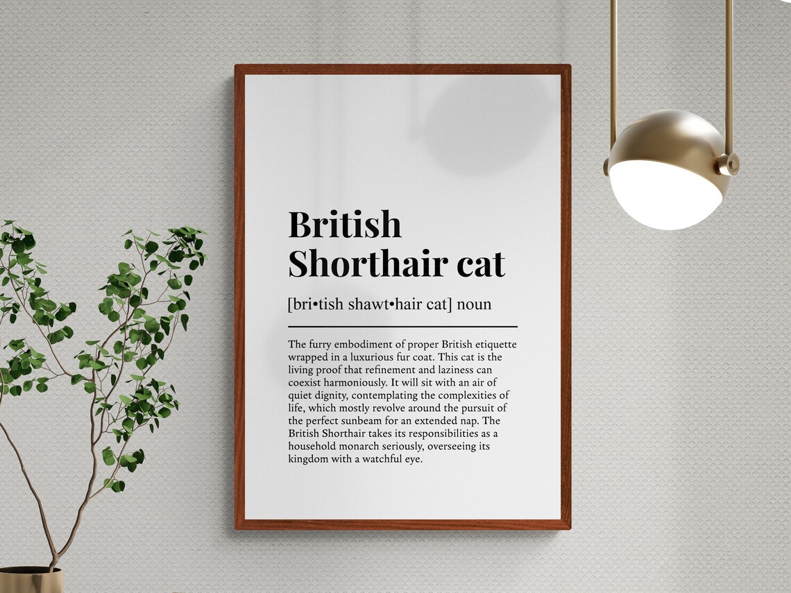 British Shorthair Cat Funny Definition Poster - Image 3