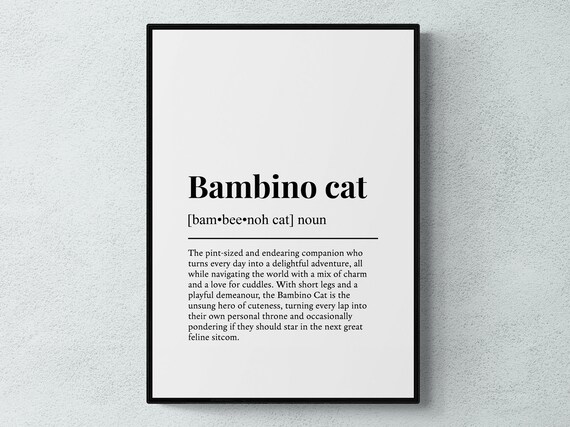 Bambino Cat Funny Definition Typography Breed Wall Art Poster