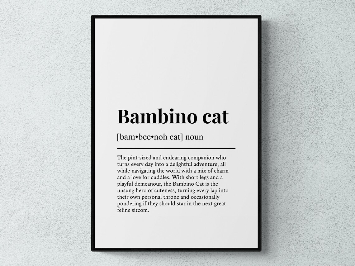 Bambino Cat Funny Definition Breed Dictionary Pint Sized Cuddle Companion Poster
