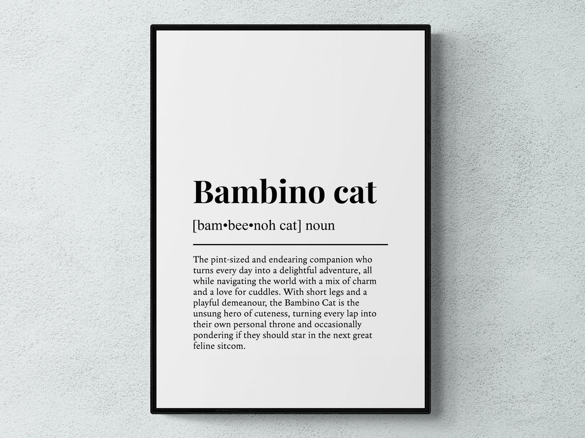 Bambino Cat Funny Definition Typography Breed Wall Art Poster