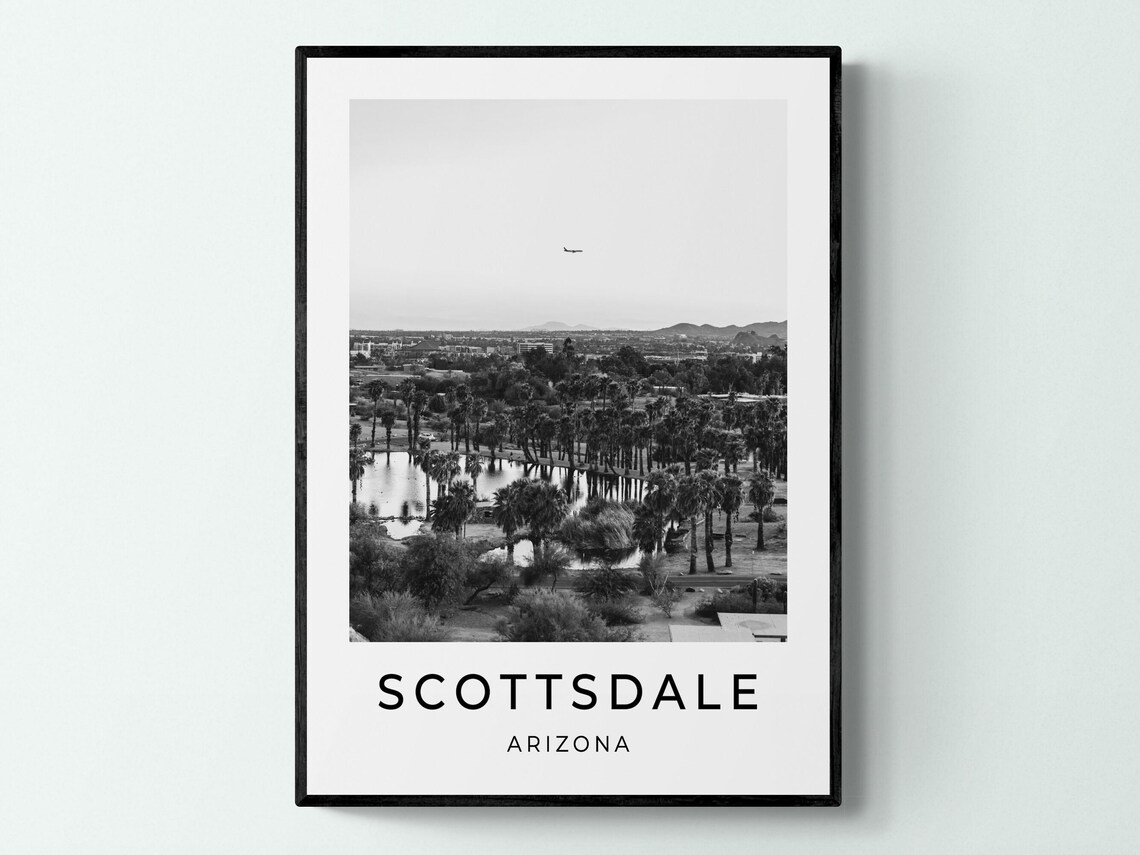 Scottsdale Arizona Desert Lake Palm Trees Black And White Poster