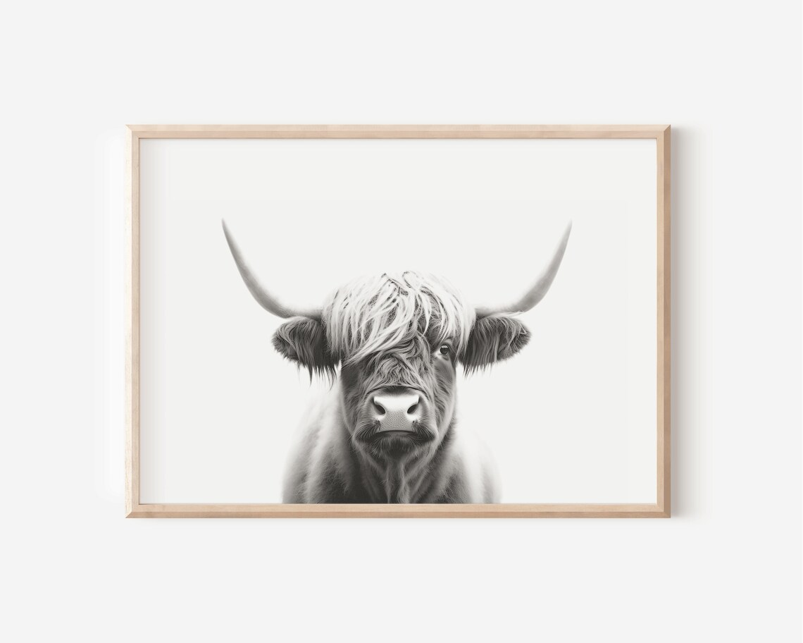 Highland Cow Art Print, Black and White Portrait
