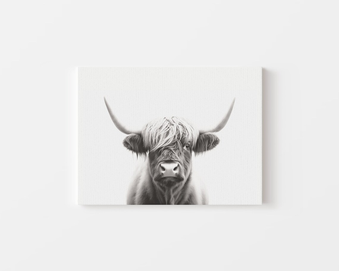 Highland Cow Art Print, Black and White Portrait - Image 4